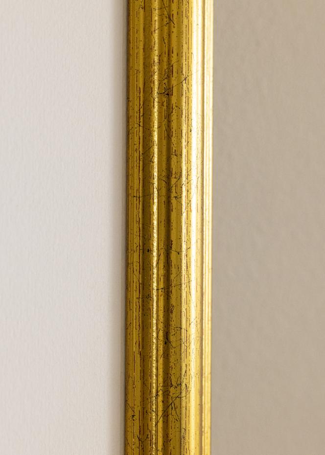 Galleri 1 Frame Vstkusten Gold 40x50 cm