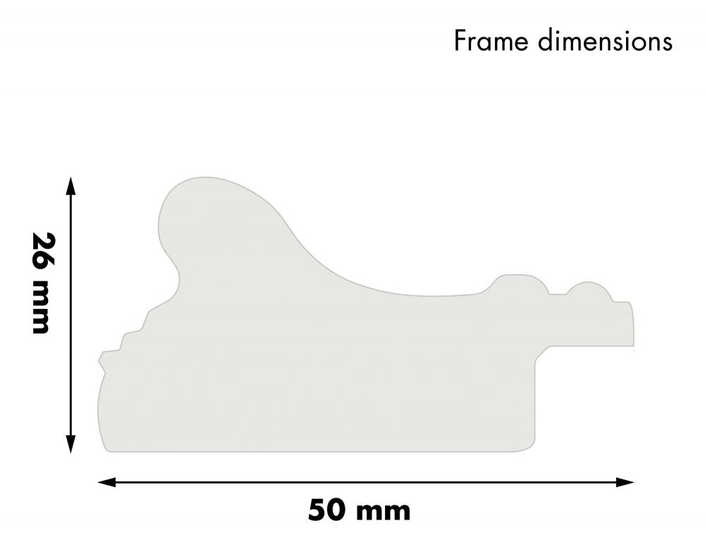 Estancia Frame Rokoko Gold 59,4x84 cm (A1)