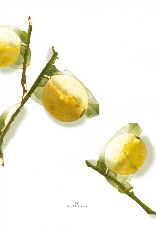 Bildverkstad Lemons Poster