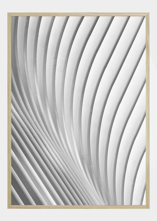 Bildverkstad Calatrava Lines Poster