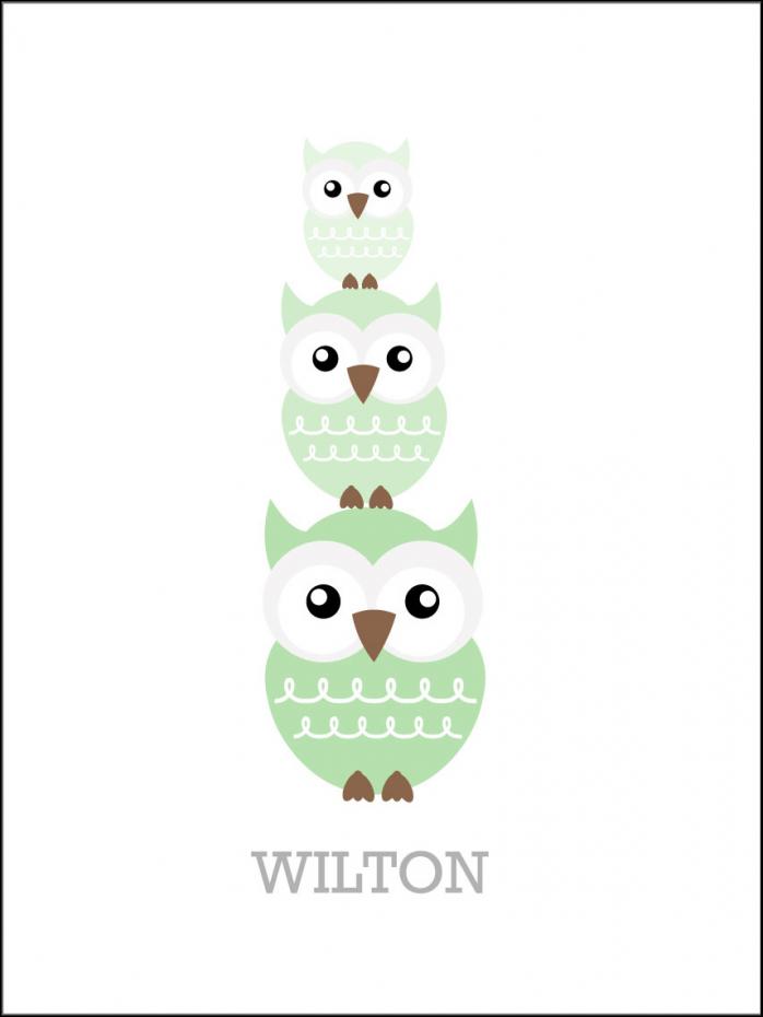 Personlig poster Owls Birth Poster Green
