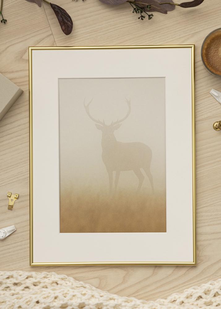 Focus Frame Can-Can Gold 18x24 cm