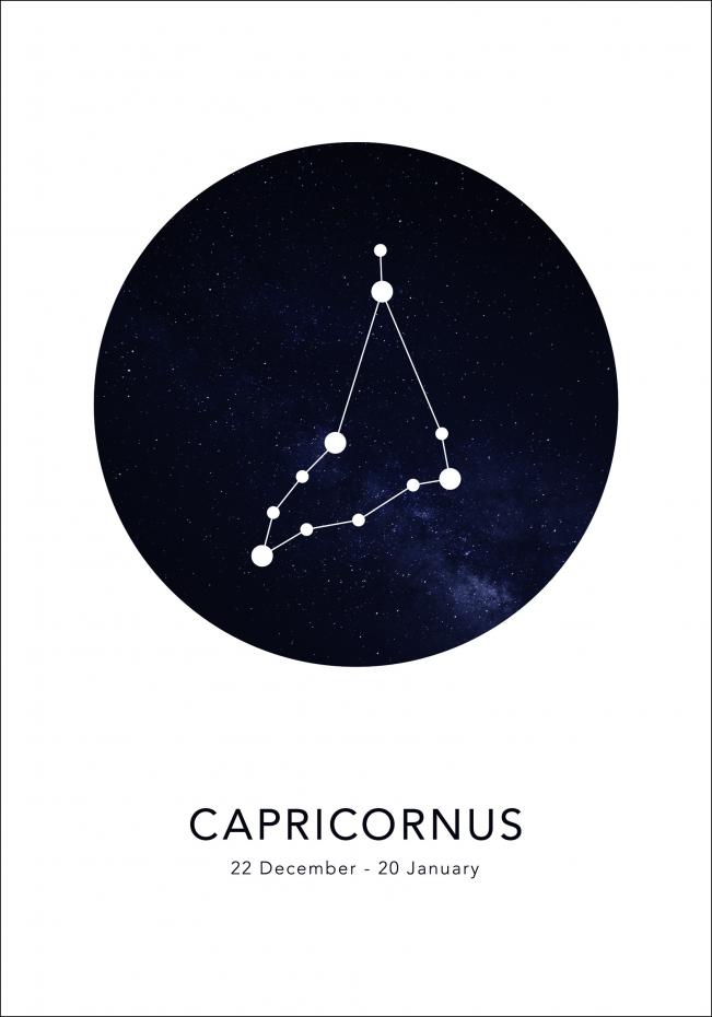 Bildverkstad Capricornus Poster