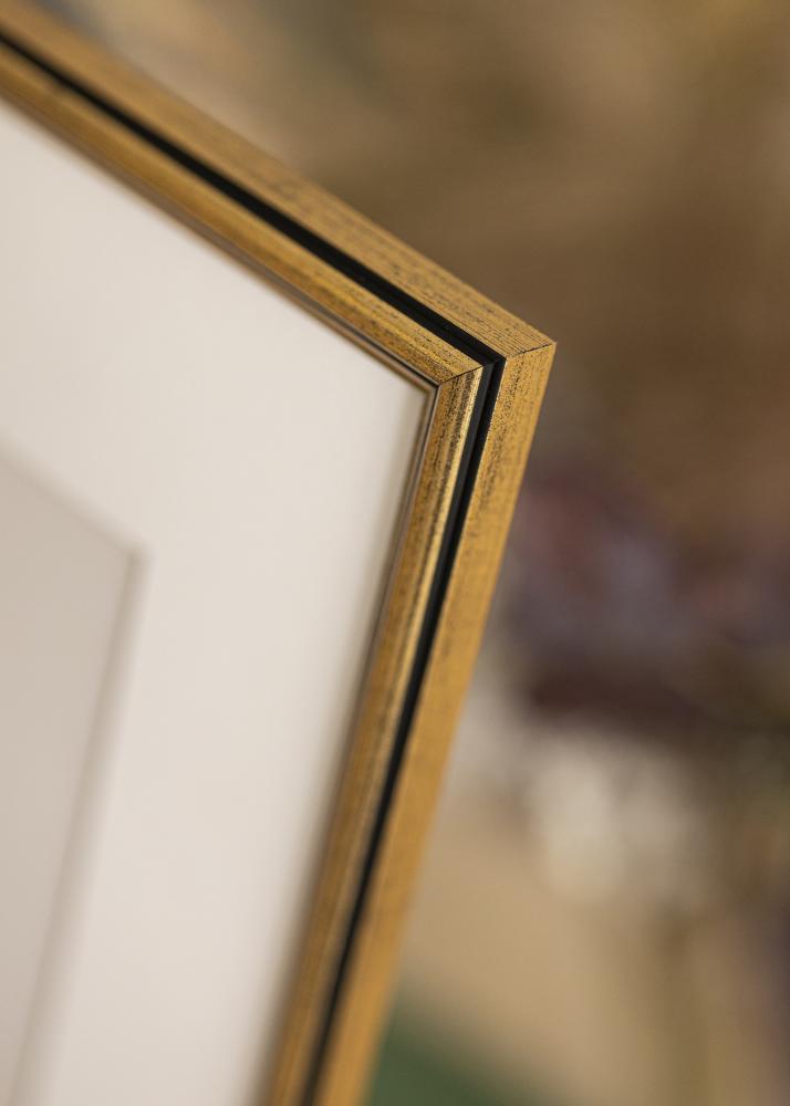 Galleri 1 Frame Horndal Acrylic glass Gold 15x20 cm