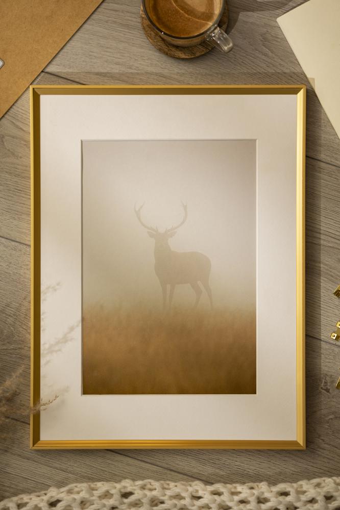Ram med passepartou Frame Desire Gold 15x20 cm - Picture Mount White 4x5 inches
