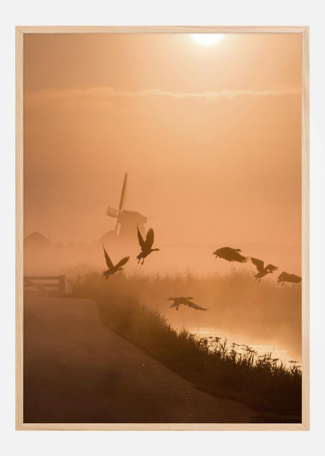 Bildverkstad Sunrise Flight Poster