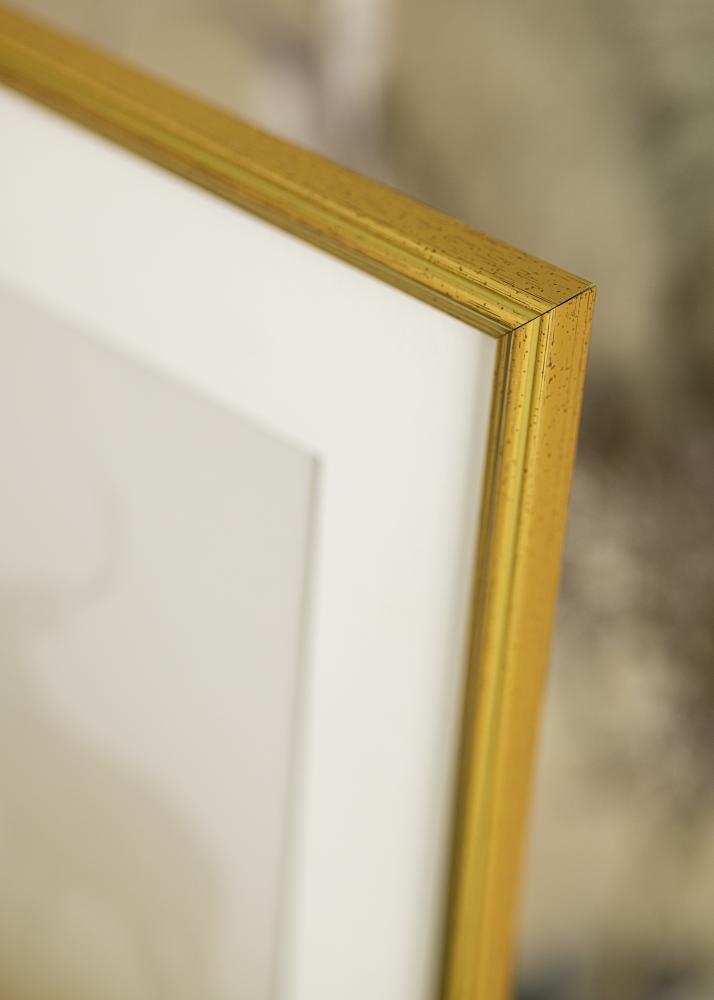 Estancia Frame Classic Gold 24x30 cm