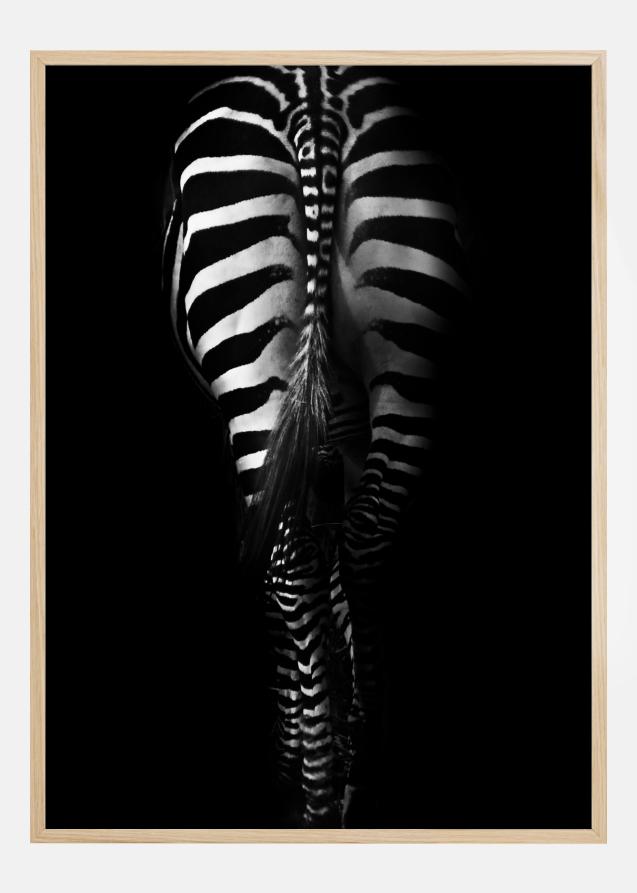 Bildverkstad Zebra Tail Poster