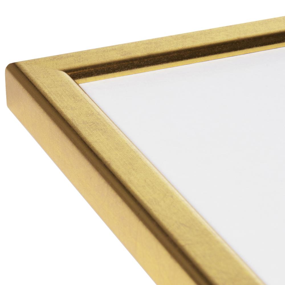 HHC Distribution Frame Slim Matt Anti-reflective glass Gold 13x18 cm