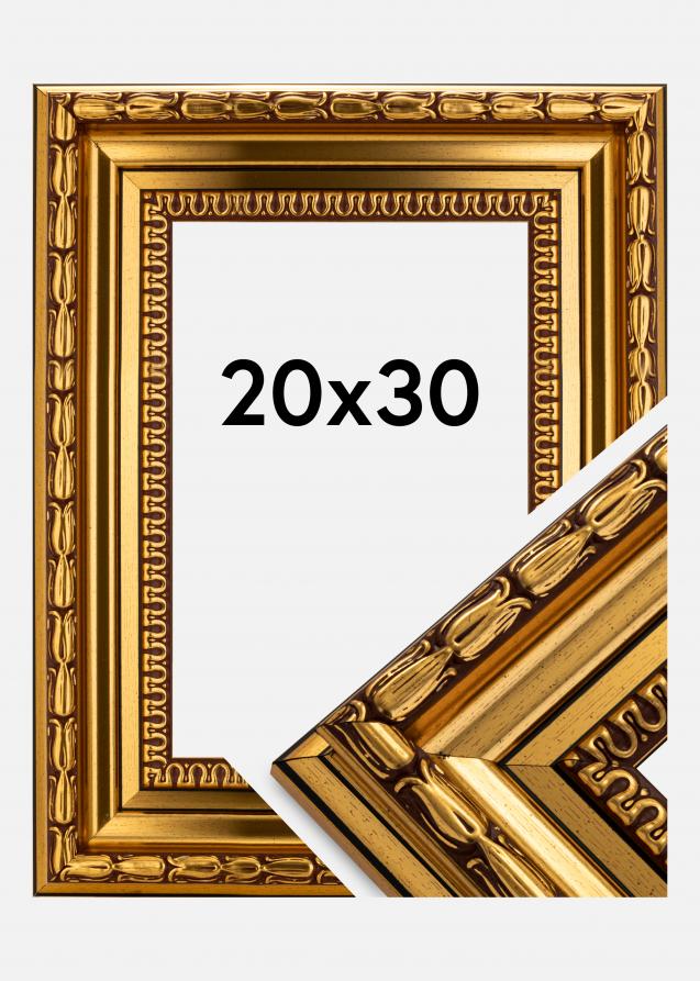 Ramverkstad Frame Birka Premium Gold 20x30 cm