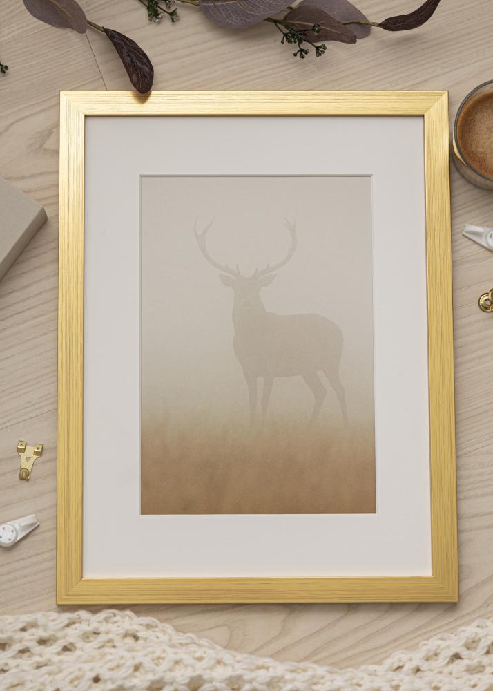 Galleri 1 Frame Gold Wood Acrylic glass 18x46 cm