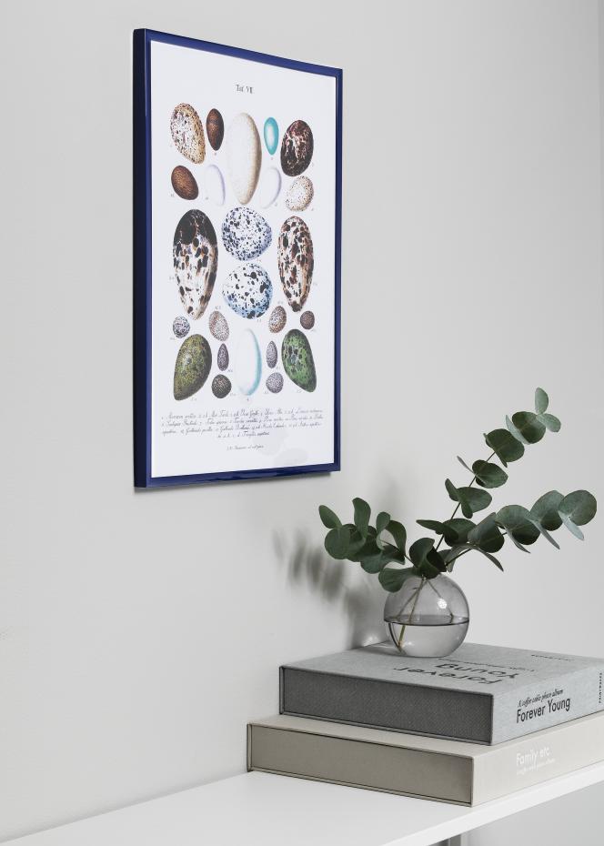 Walther New Lifestyle Collage frame Blue - 3 Pictures (15x20 cm)