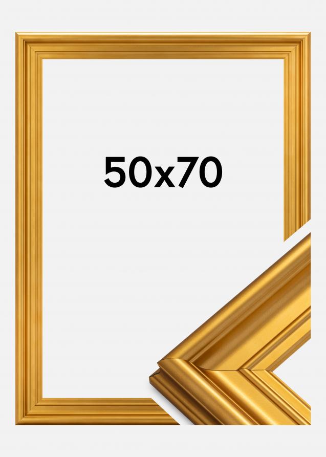 Galleri 1 Frame Mora Premium Acrylic glass Gold 50x70 cm