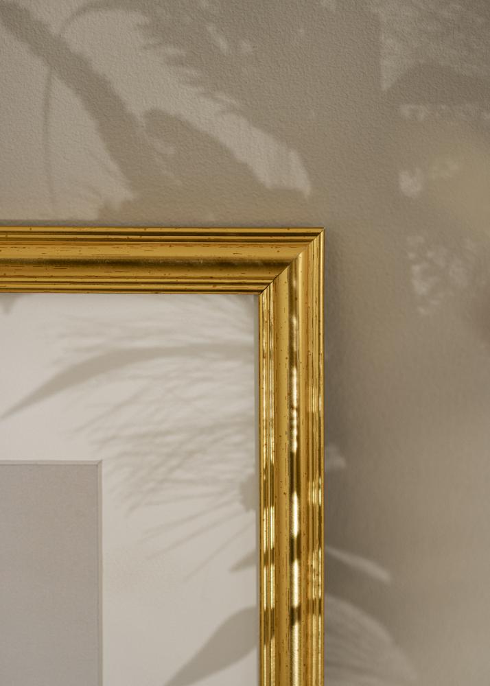 Estancia Frame Carl Gold 50x70 cm