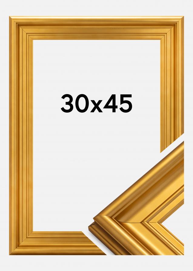 Ramverkstad Frame Mora Premium Gold 30x45 cm
