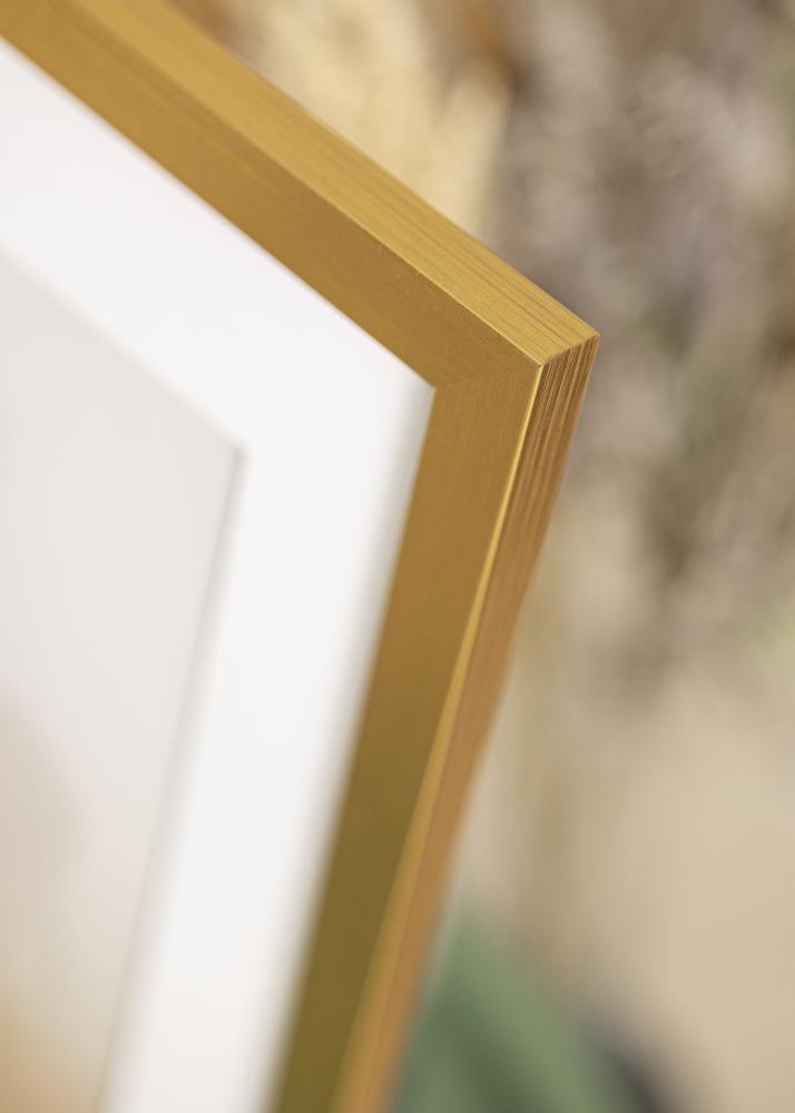 Galleri 1 Frame Gold Wood Acrylic glass 20x60 cm