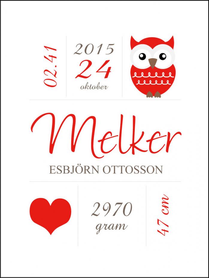 Personlig poster Owl Birth Poster Red