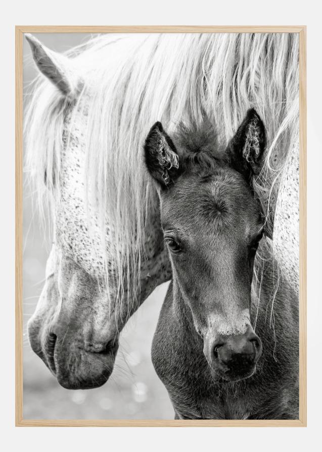 Bildverkstad The Foal Poster