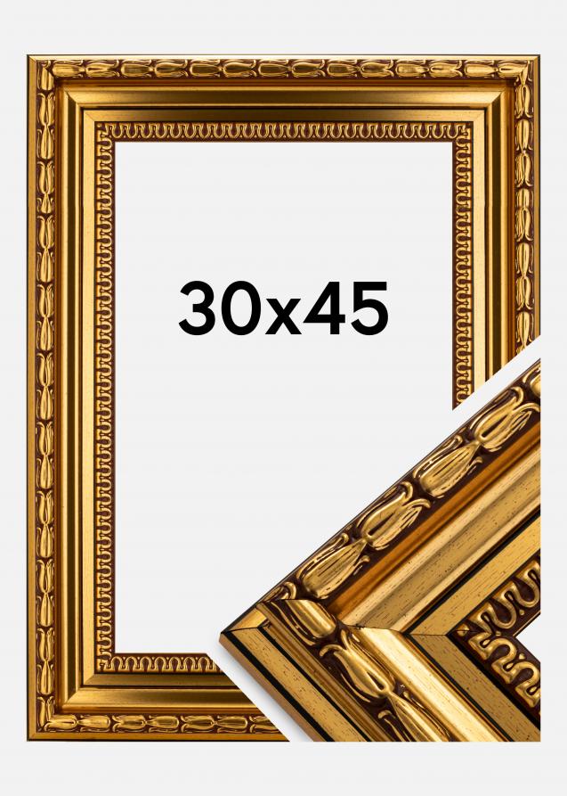 Ramverkstad Frame Birka Premium Gold 30x45 cm