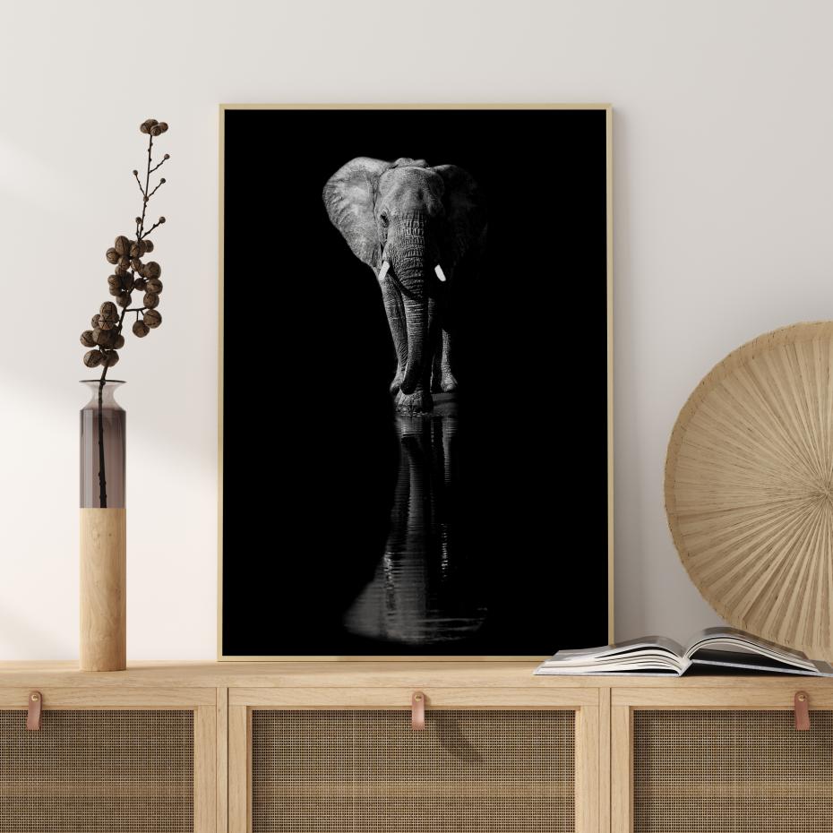 Bildverkstad Elephant Poster