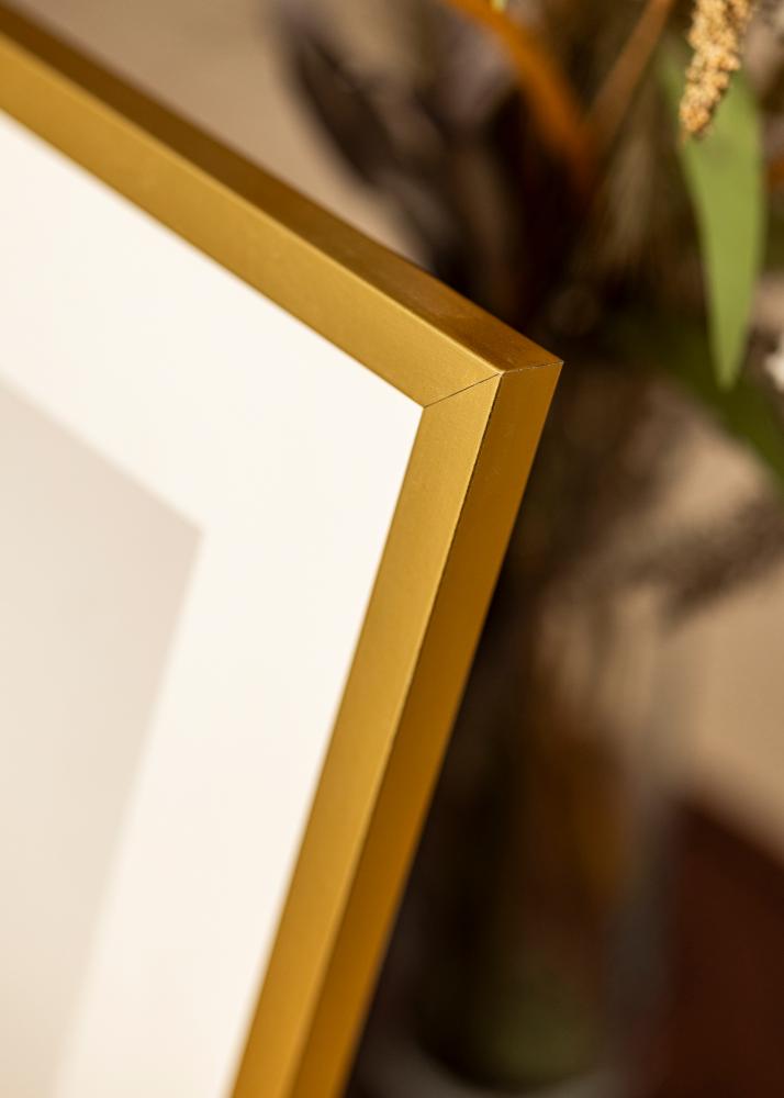 Mavanti Frame Minerva Acrylic Glass Gold 40x40 cm