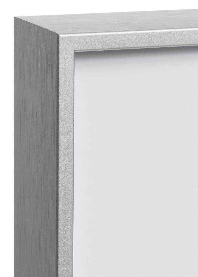 Ramverkstad Frame Nielsen Premium Zenith Matt Silver - Custom Size