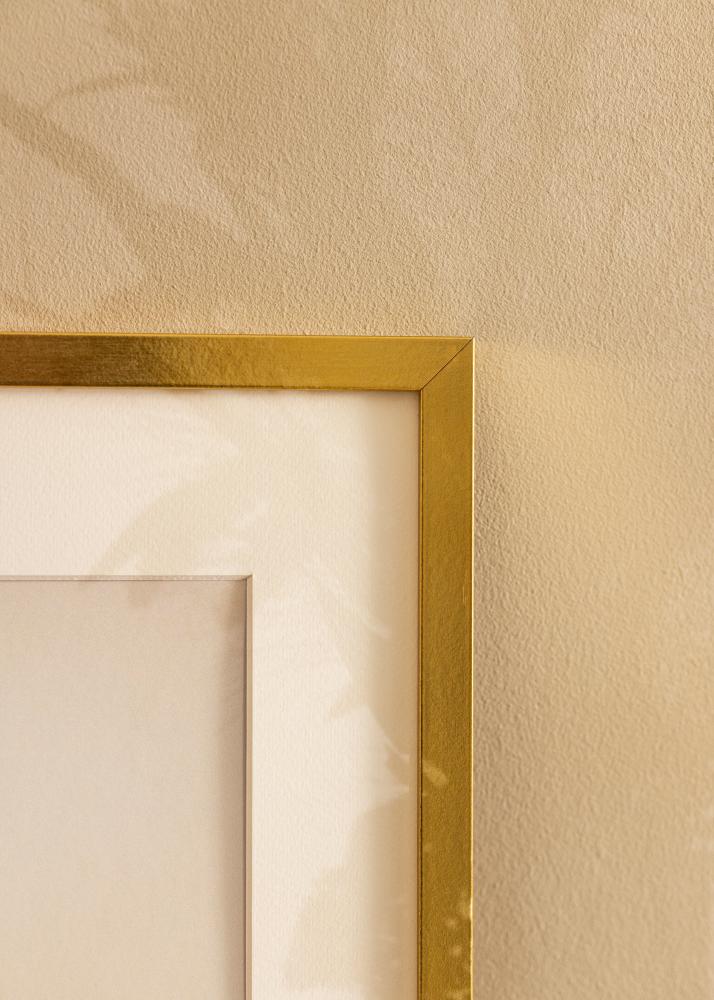 Mavanti Frame Minerva Acrylic Glass Gold 30x40 cm