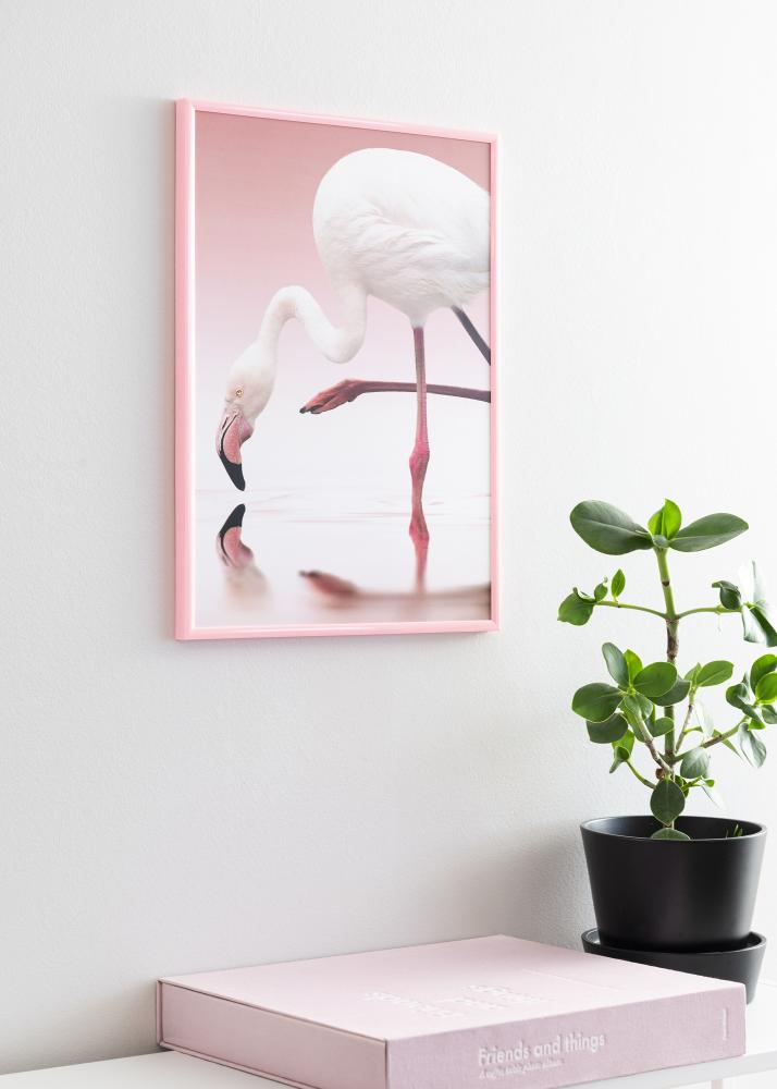 Walther Frame New Lifestyle Acrylic glass Pink 70x100 cm