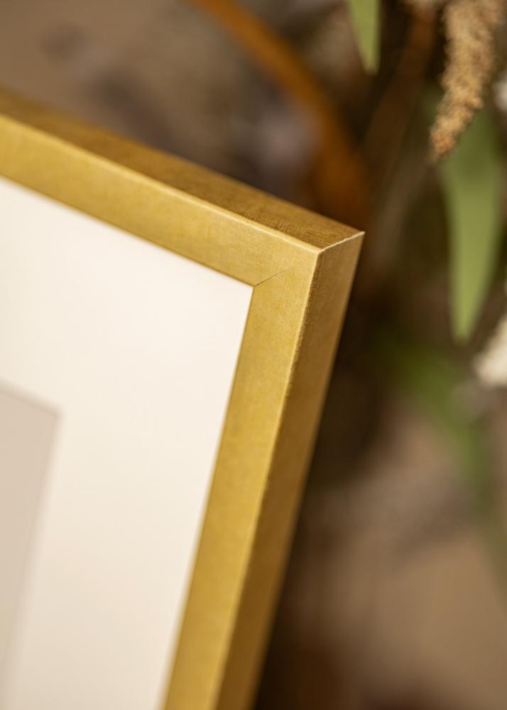 Mavanti Frame Ares Acrylic Glass Gold 45x60 cm