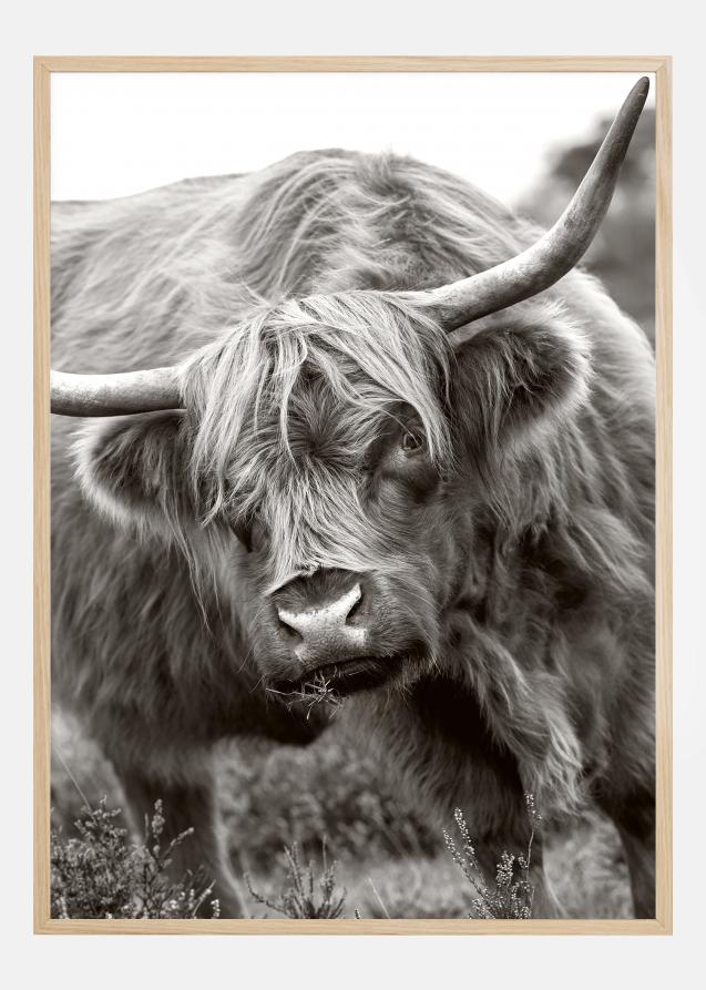 Bildverkstad The Bull Poster