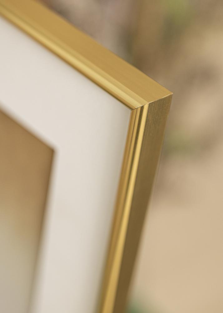 Walther Frame Galeria Gold 60x90 cm