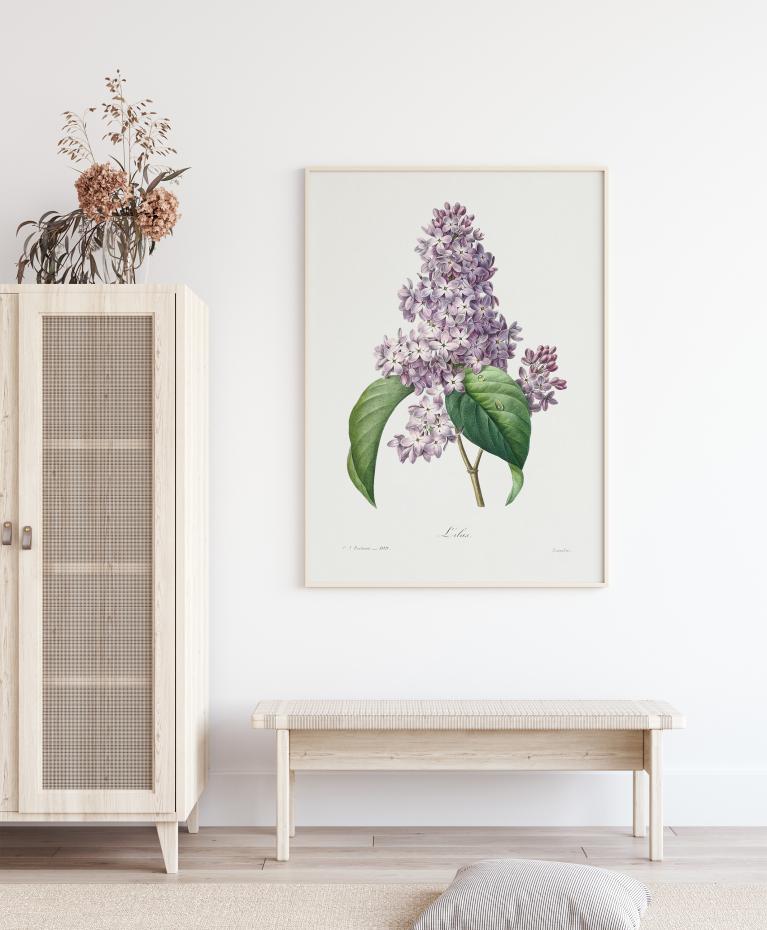 Bildverkstad Lilac Flower Poster