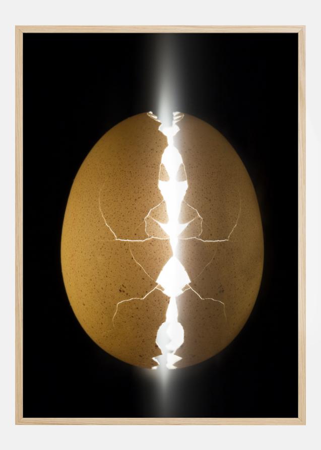 Bildverkstad Alien egg Poster