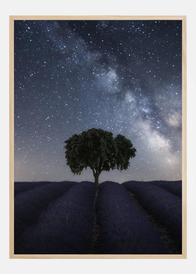 Bildverkstad Tree And Milky Way Poster
