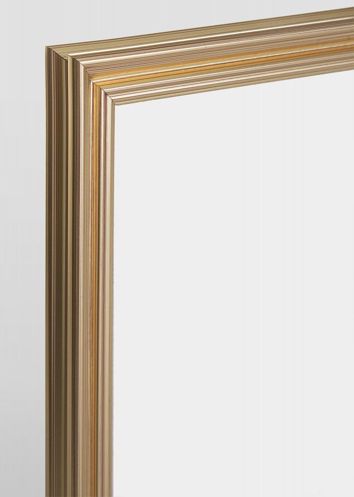 Focus Frame Verona Gold 21x29,7 cm (A4)