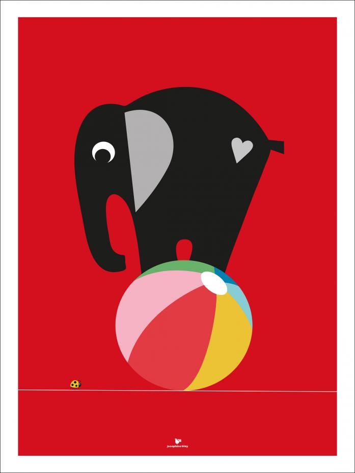Bildverkstad Elephant - Red Poster