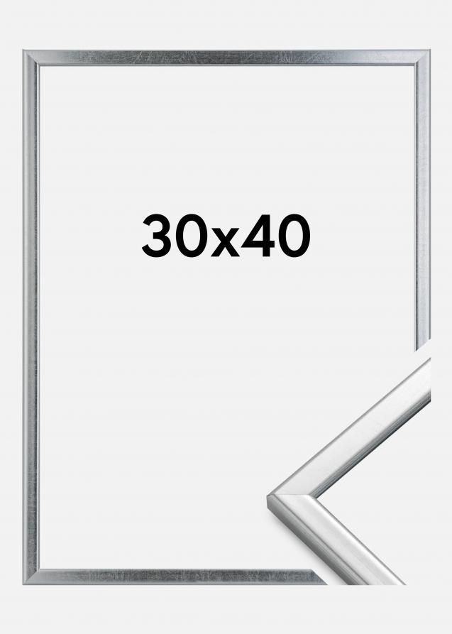 HHC Distribution Frame Slim Matt Anti-reflective glass Silver 30x40 cm