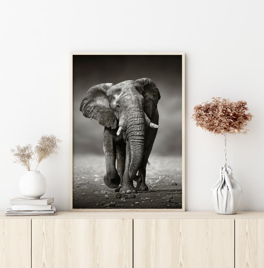 Bildverkstad Walking Elephant Poster