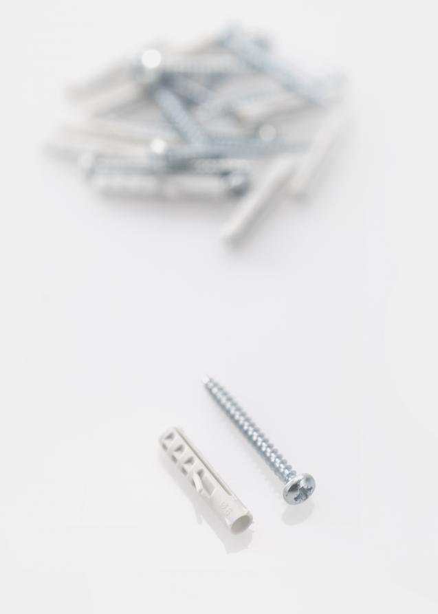  Plug 30 x 6 mm with screw 10 pack