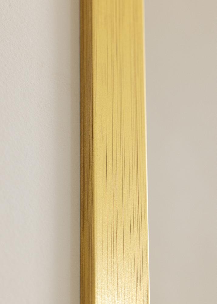 Galleri 1 Frame Gold Wood Acrylic glass 50x100 cm