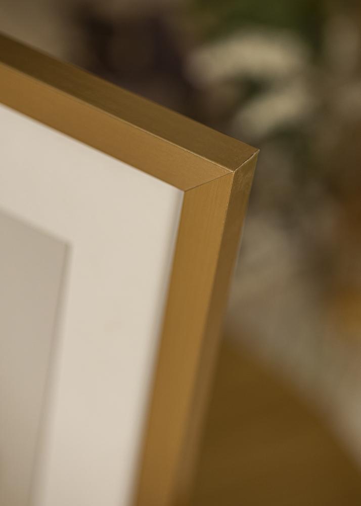 Artlink Frame Selection Acrylic Glass Gold 30x40 cm