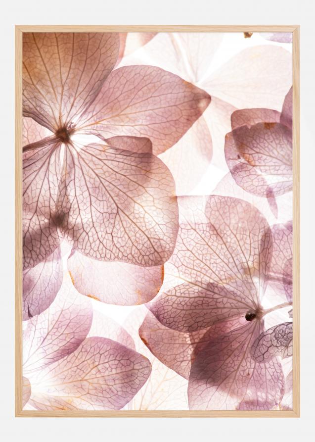 Bildverkstad Orchid Poster