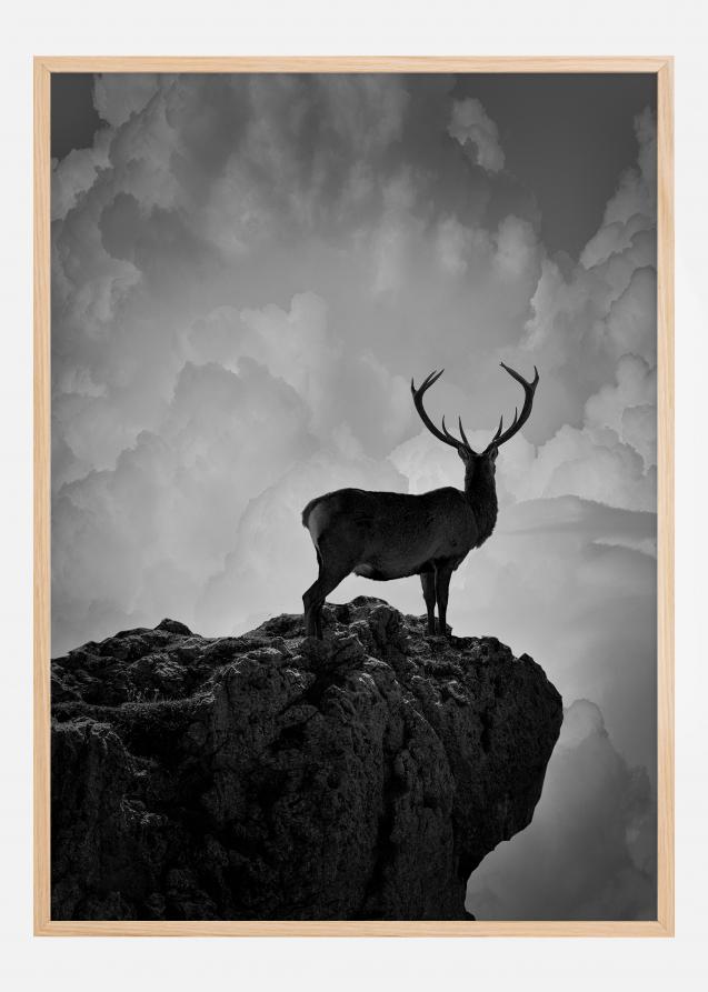 Bildverkstad Black and White Deer Poster