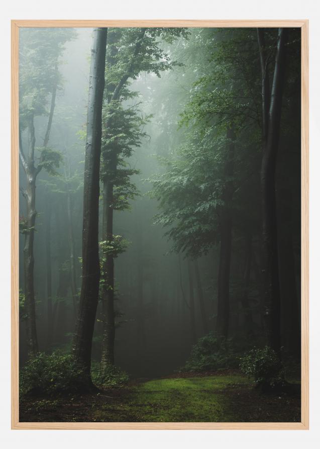 Bildverkstad Mysterious forest Poster