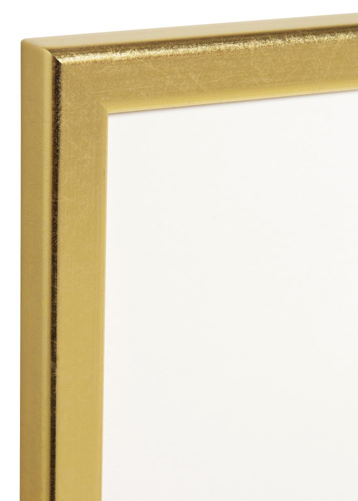 HHC Distribution Frame Slim Matt Anti-reflective glass Gold 40x50 cm