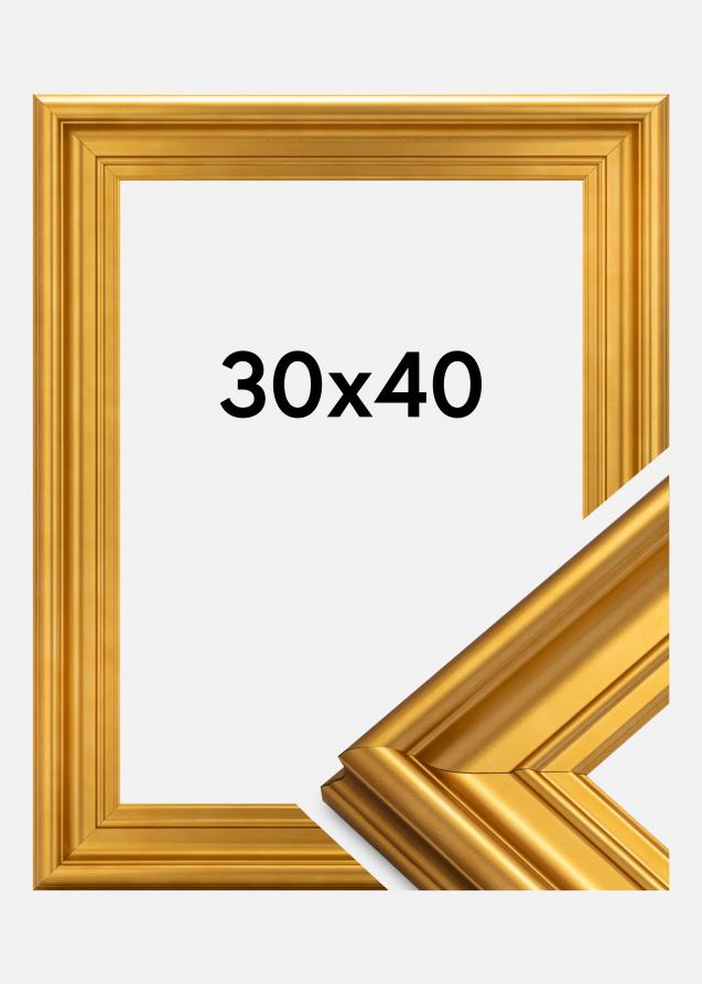 Galleri 1 Frame Mora Premium Acrylic glass Gold 30x40 cm