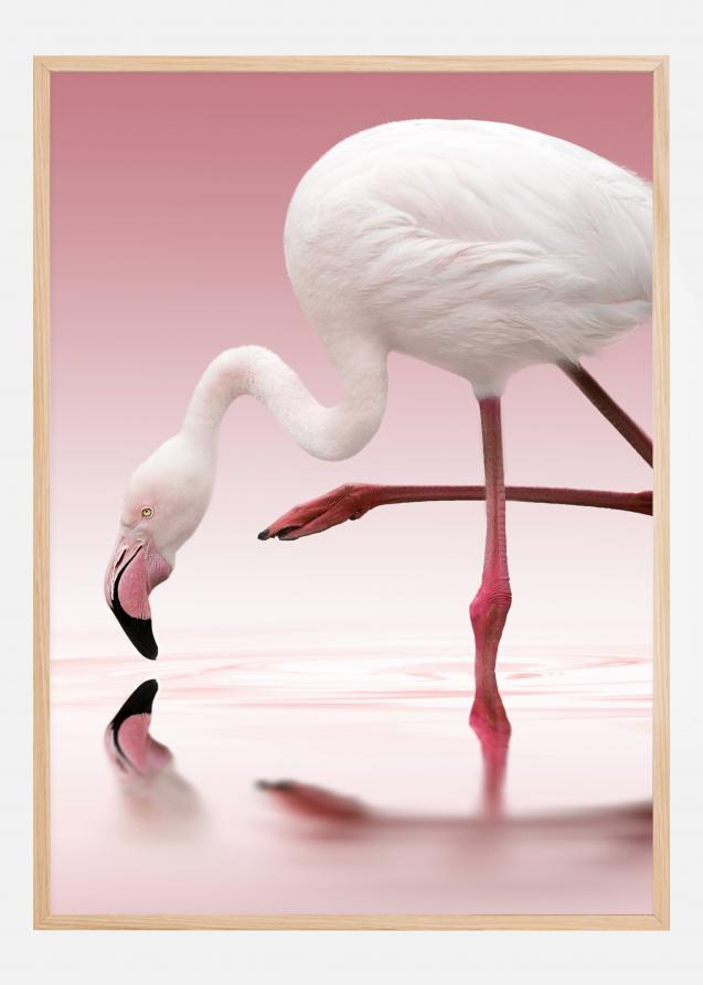 Bildverkstad Flamingo Poster