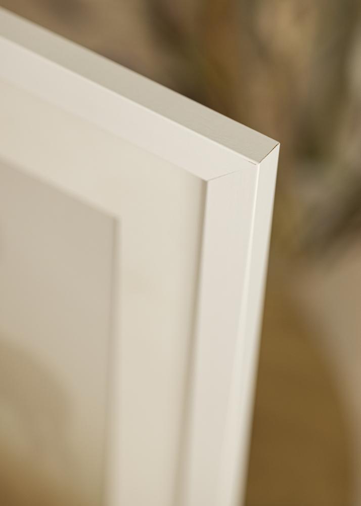 Galleri 1 Frame White Wood Acrylic glass 18x24 inches (45.72x60.96 cm)