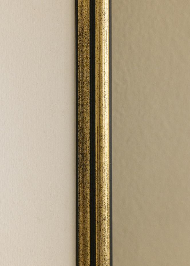 Galleri 1 Frame Horndal Acrylic Glass Gold 50x70 cm