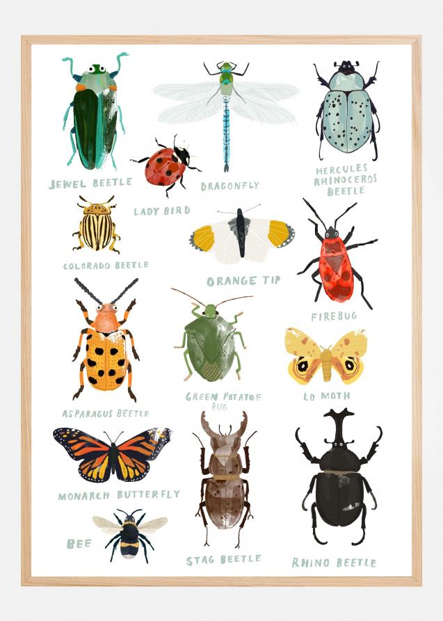 Bildverkstad Bugs Poster